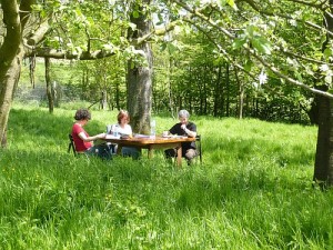 tuin-klein